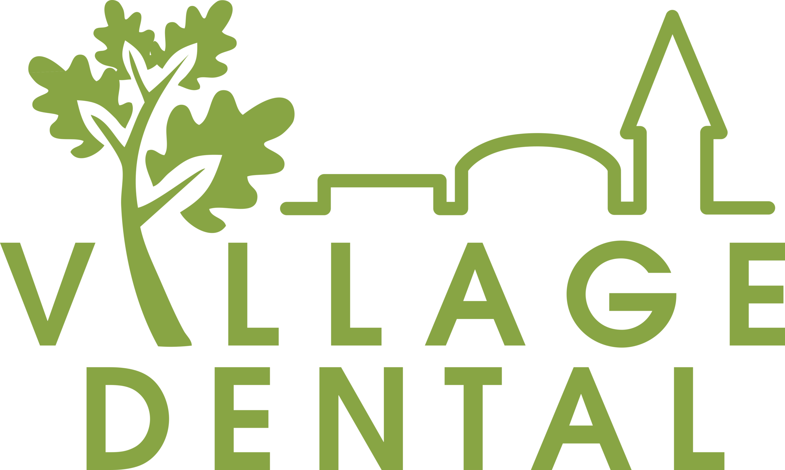 Village Dental