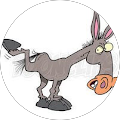 Lane Hobbs Avatar